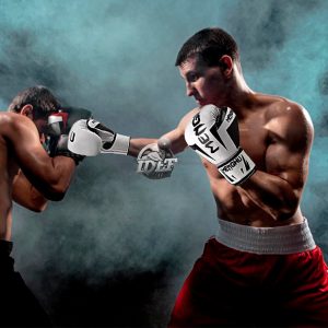 Guantes de boxeo menghu tigre series – Artes marciales