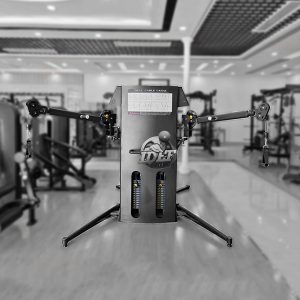 Dual Cable Cross 100 kg x 2 DG-ZH80