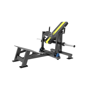 Hip Thrust – DG