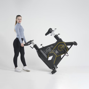 Bicicleta Spinning Magnetica Comercial