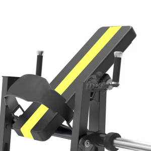 Hip Thrust – DG