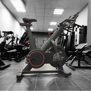 Bicicleta Spinning Magnética Monitor MSP9001