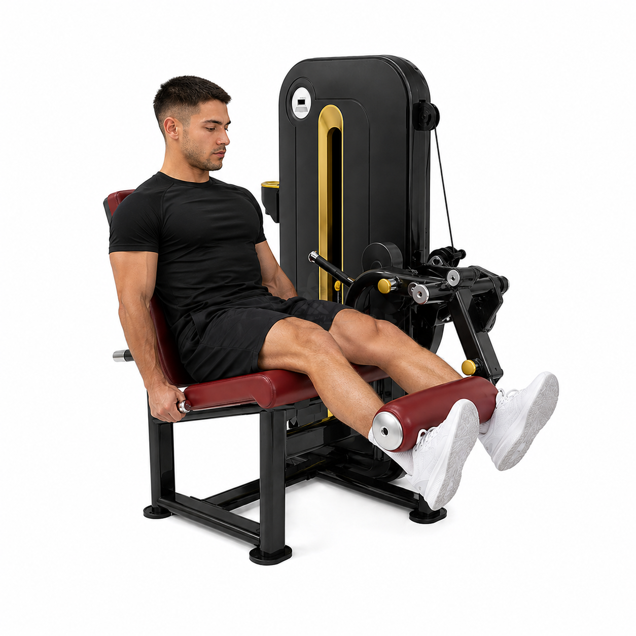 Leg Extension + Leg Curl Sentado – DG-E6858 - Imagen 2