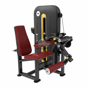 Leg Extension + Leg Curl Sentado – DG-E6858
